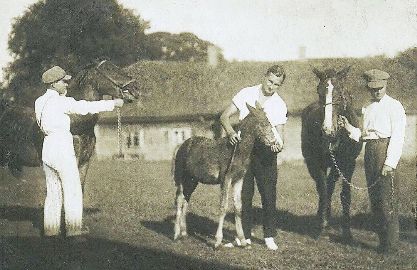 genealogia kresy fotografia oszmiański