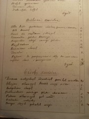 genealogia kresy fotografia oszmiański