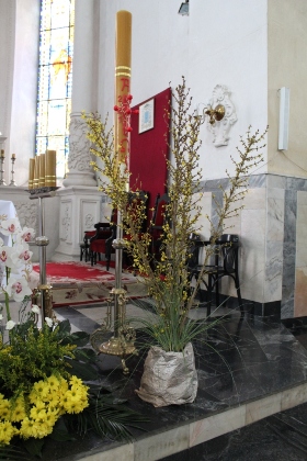 genealogia kresy fotografia oszmiański